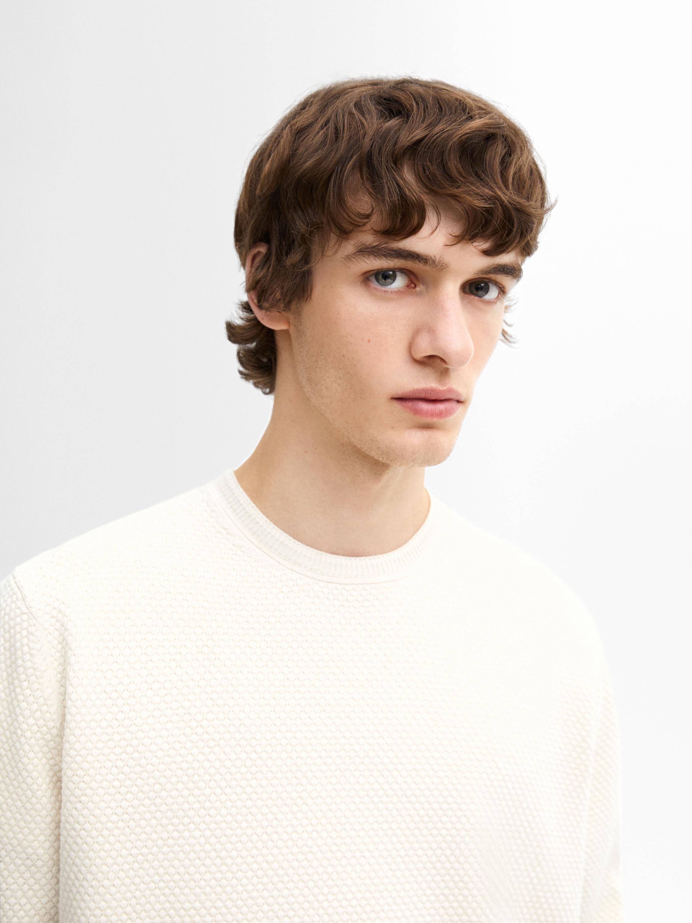Massimo Dutti Cotton Blend Knit Men Sweater Beige | US-VF8971436