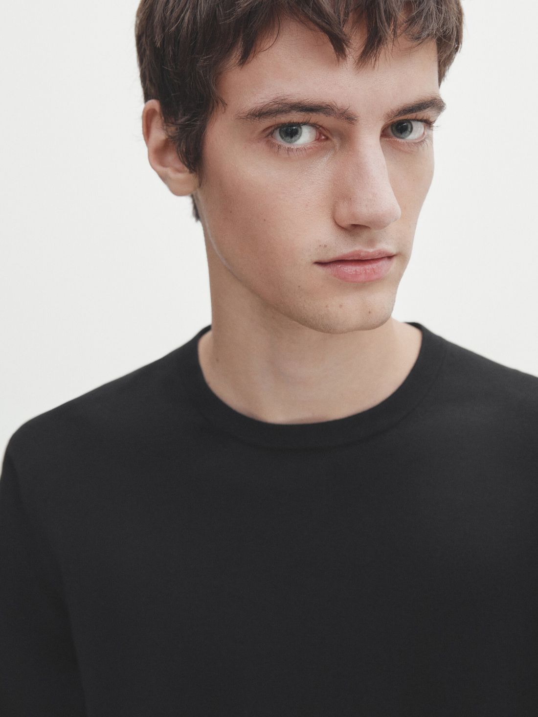 Massimo Dutti Cotton Knit Short Sleeve Men T-Shirt Black | US-JE4601372