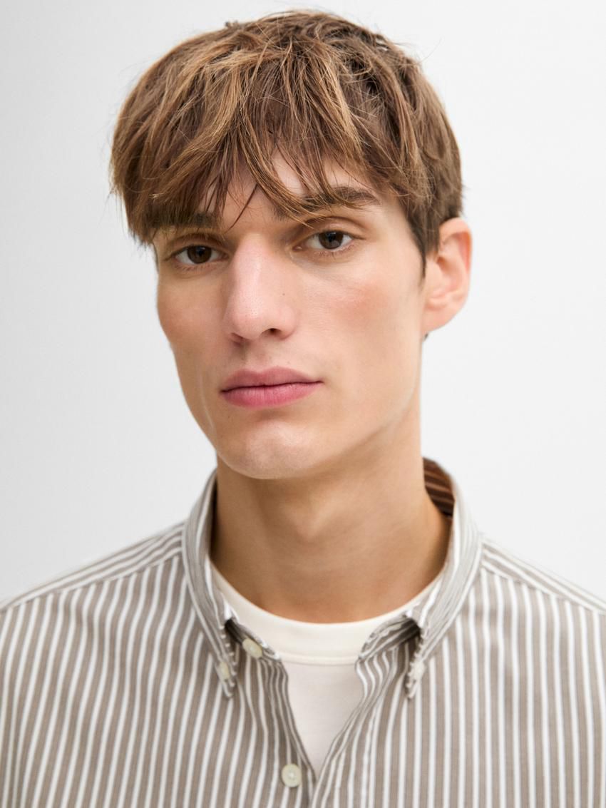 Massimo Dutti Cotton Striped Men Shirts Grey / White | US-SY4503971