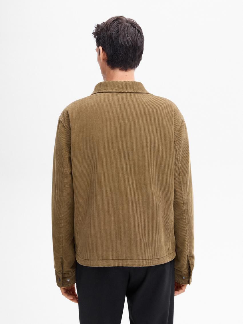Massimo Dutti Cotton Zipper Detail Men Jacket Brown | US-PK5796814