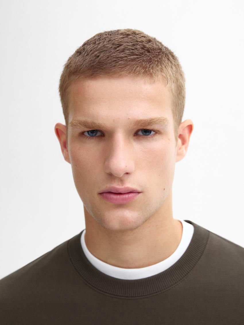 Massimo Dutti Crew Neck Cotton Blend Men Sweatshirt Dark Olive | US-QY8201497