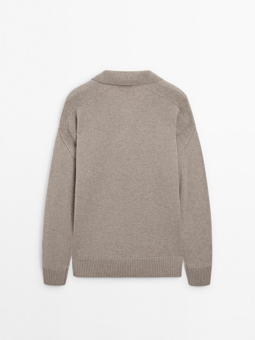 Massimo Dutti Polo Neck Cashmere Men Jumpers Brown Beige | US-PT1524397