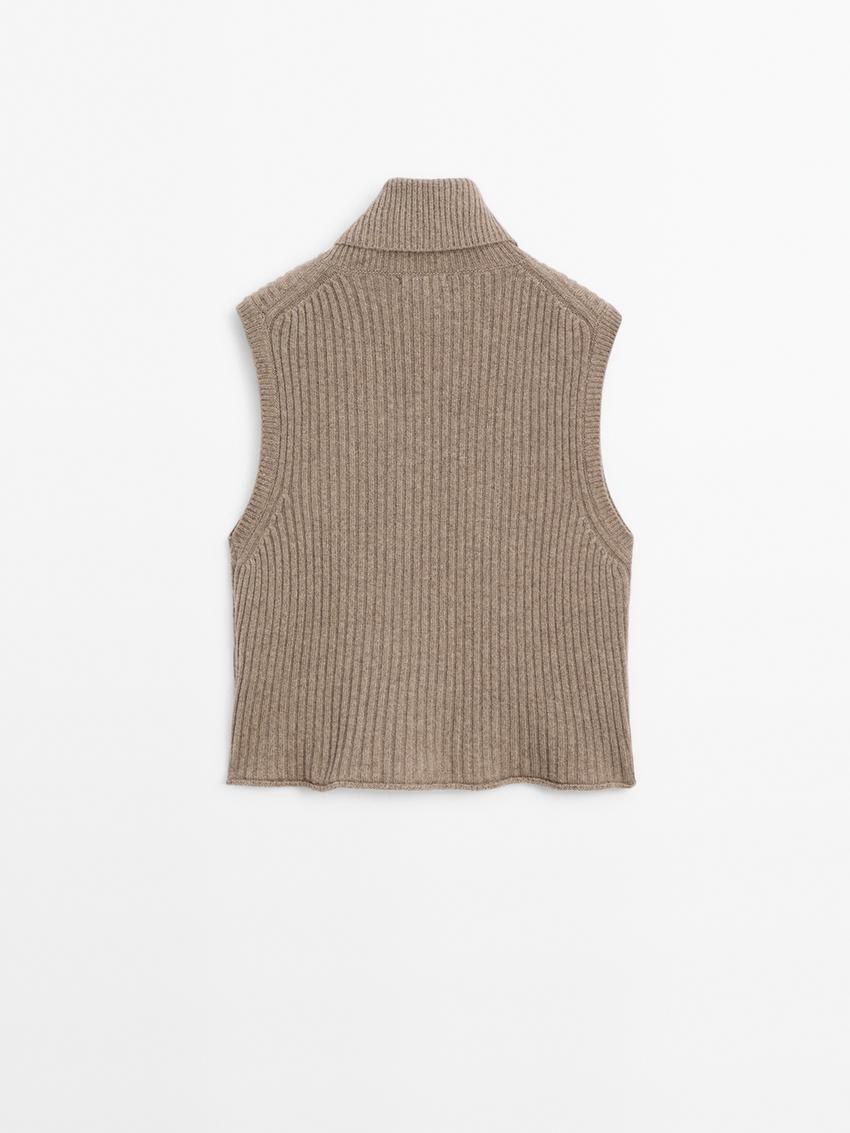 Massimo Dutti Ribbed High Neck Women Top Brown | US-VR9470623