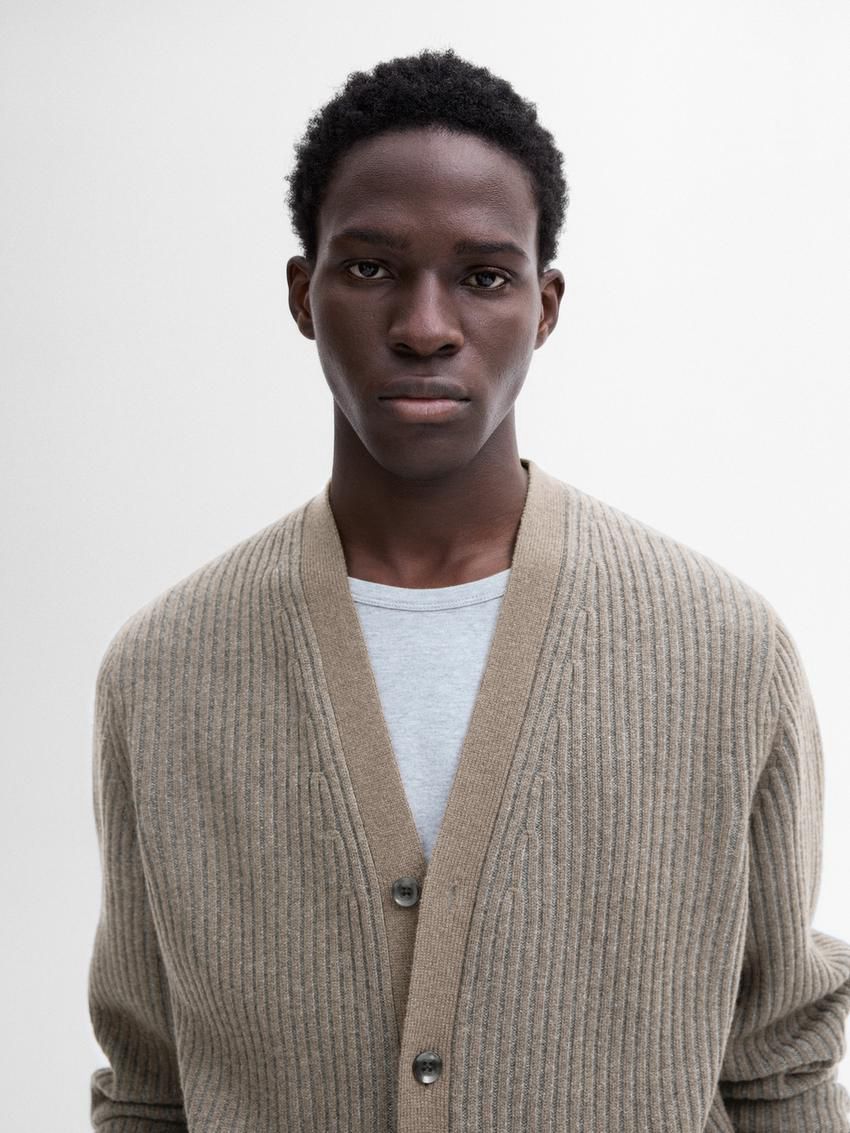 Massimo Dutti Ribbed Wool Blend Knit Men Cardigan Brown Beige | US-JF4710985