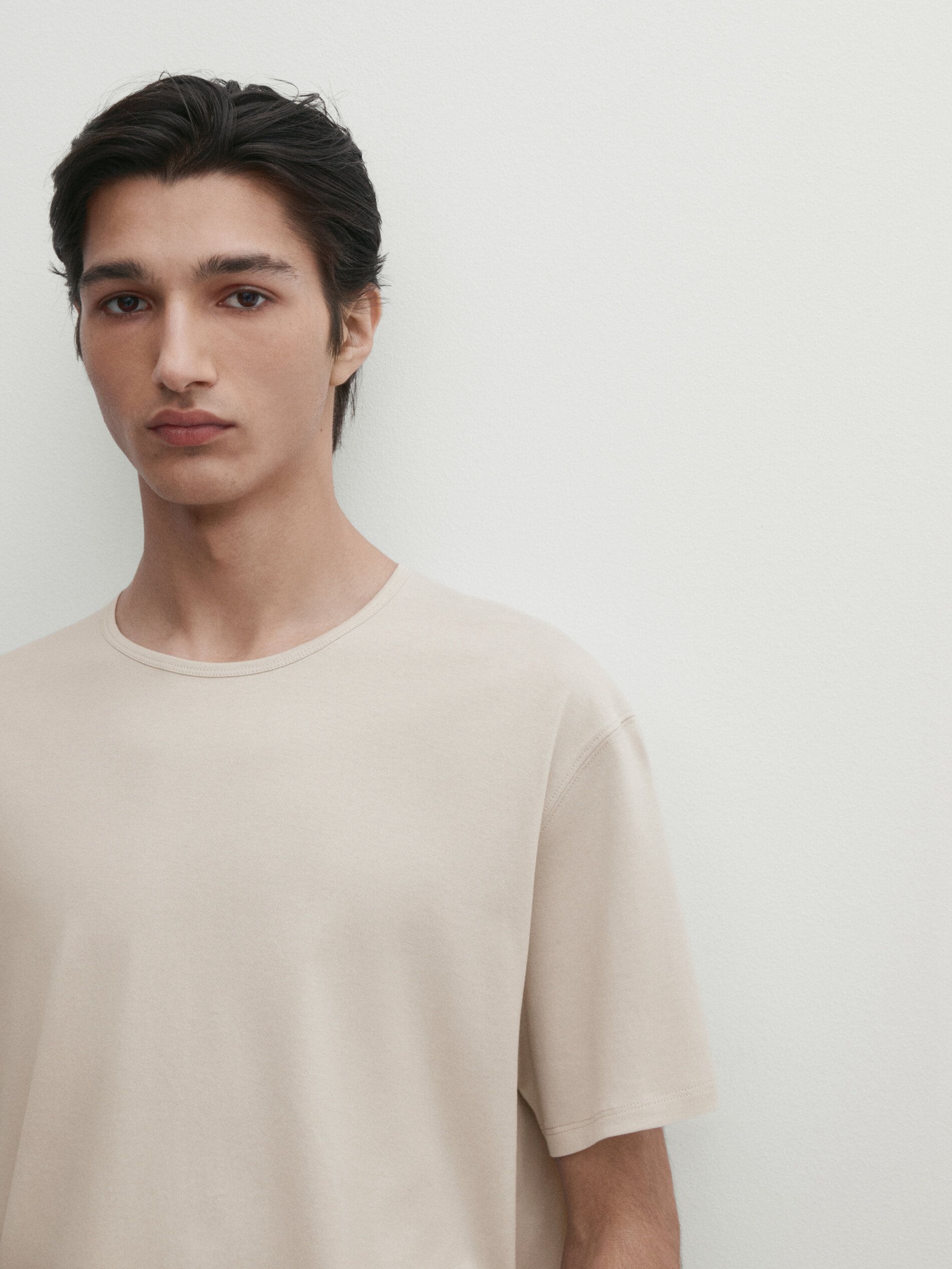 Massimo Dutti Short Sleeve Cotton Men T-Shirt Beige | US-SQ7190258