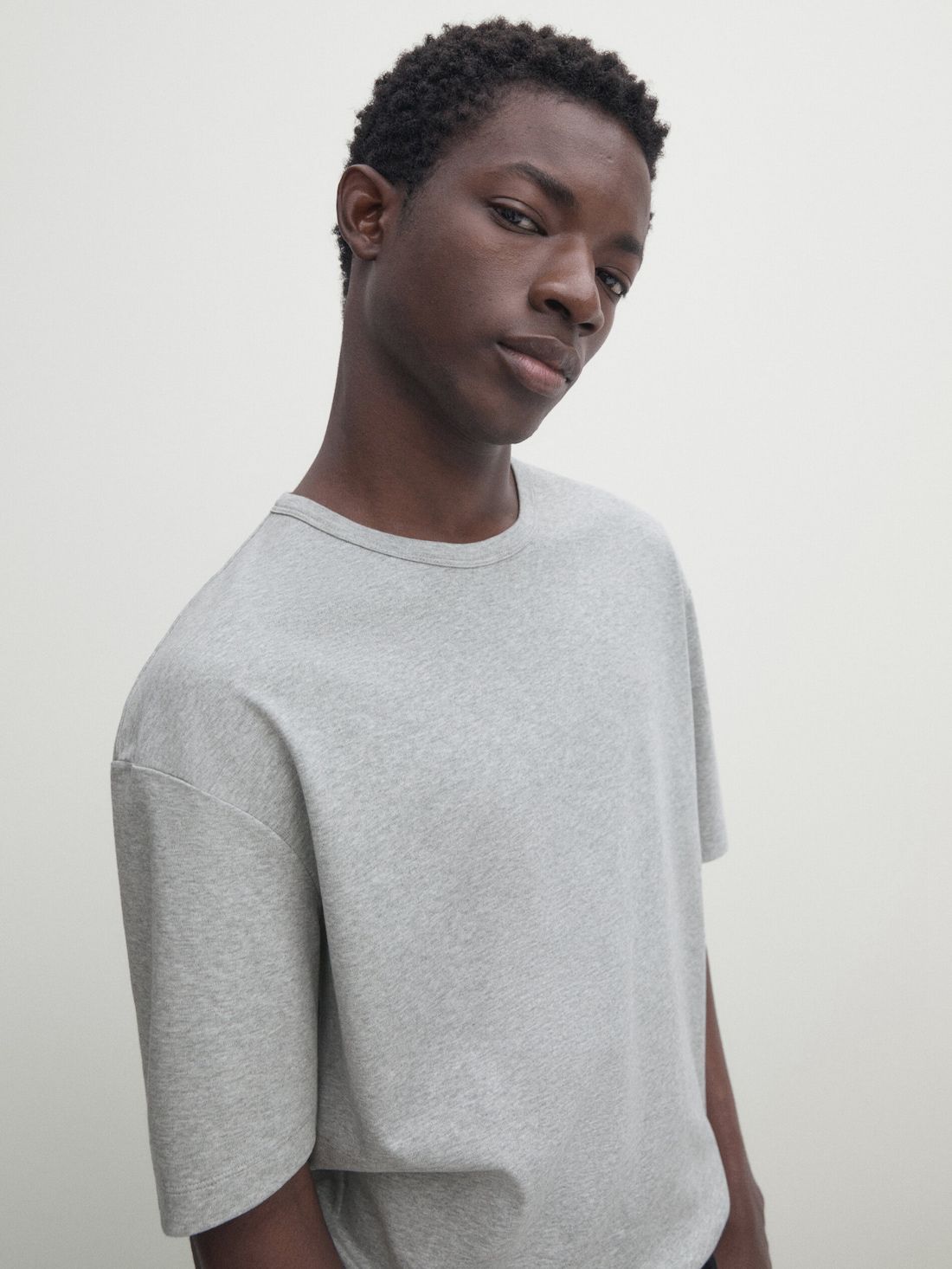 Massimo Dutti Short Sleeve Cotton Men T-Shirt Grey | US-HV1629340
