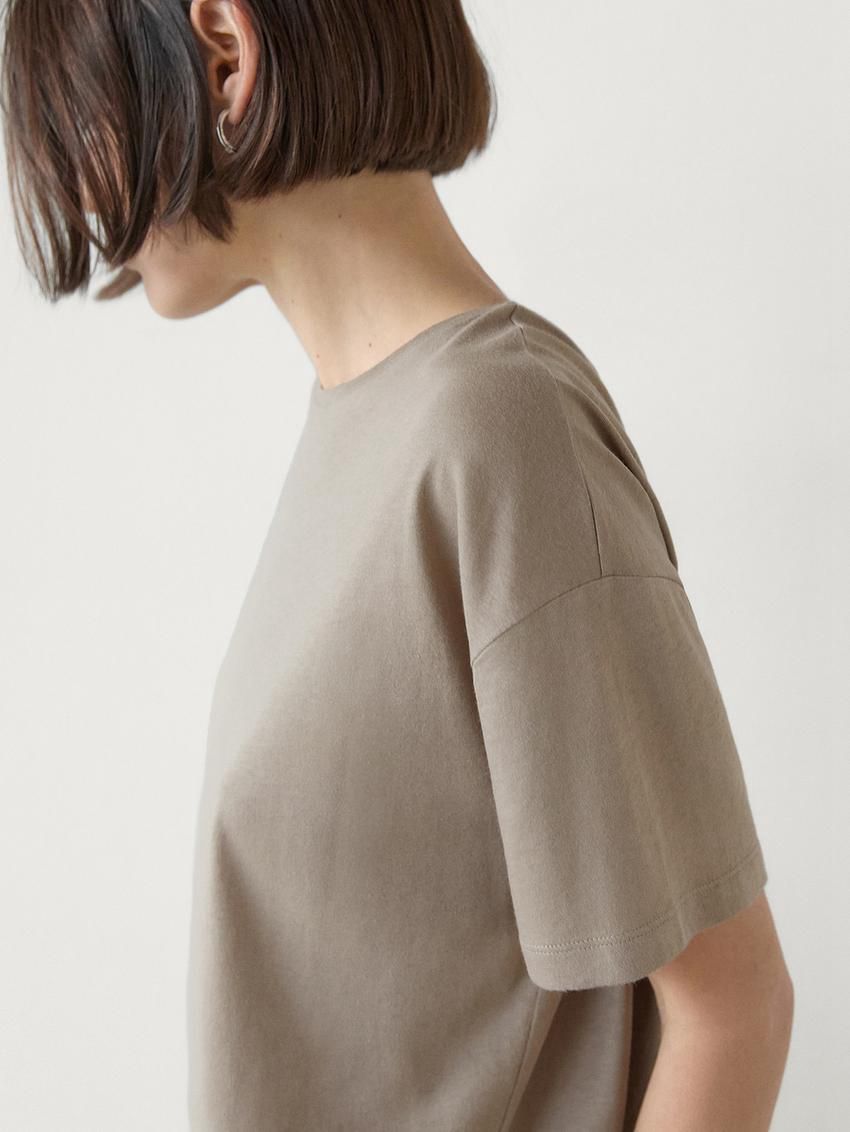 Massimo Dutti Short Sleeve Cotton Women T-Shirt Brown Beige | US-EA3587649