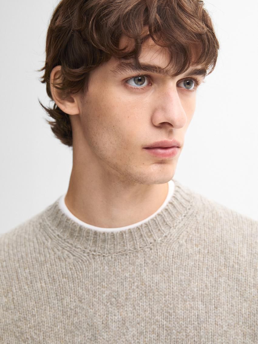 Massimo Dutti Wool Blend Crew Neck Men Sweater Brown Beige | US-RF0657493