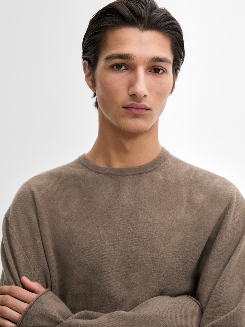 Massimo Dutti Wool Blend Knit Men Sweater Brown | US-GF0259746