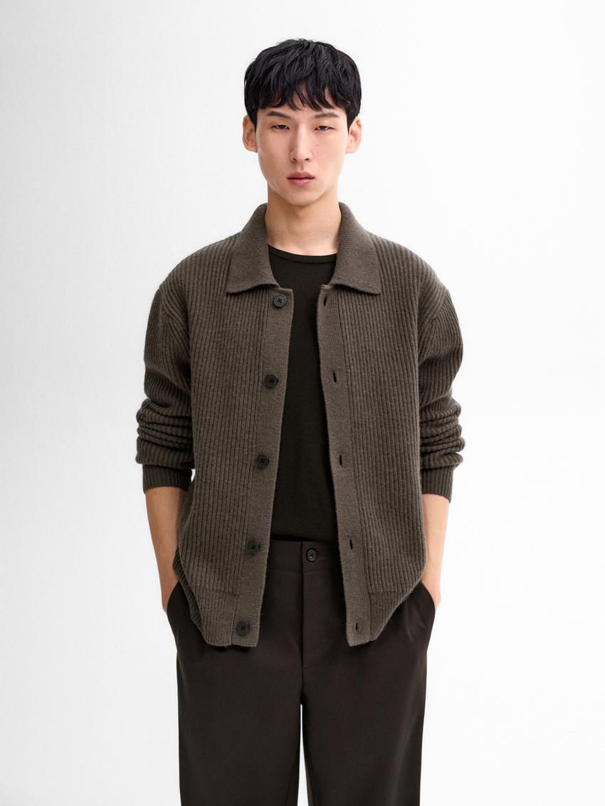 Massimo Dutti Wool Blend Polo Collar Men Cardigan Dark Brown | US-VJ0167982