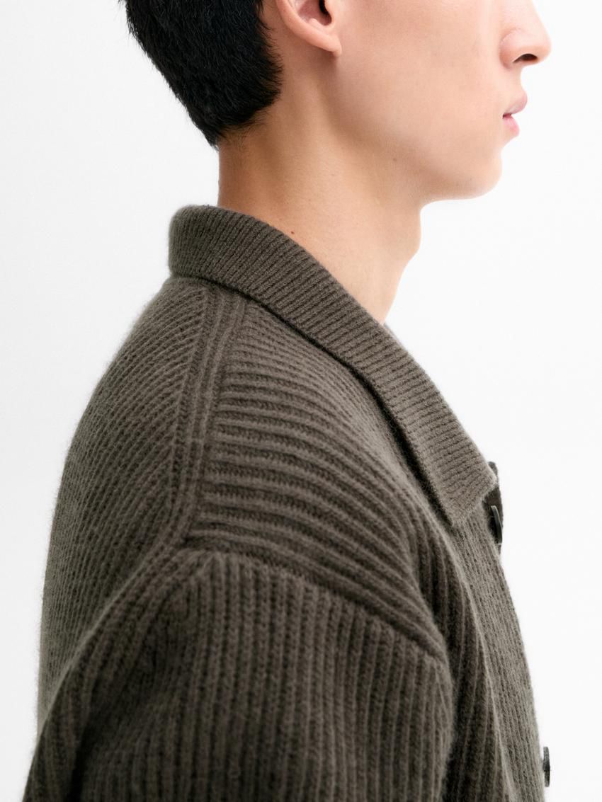 Massimo Dutti Wool Blend Polo Collar Men Cardigan Dark Brown | US-VJ0167982